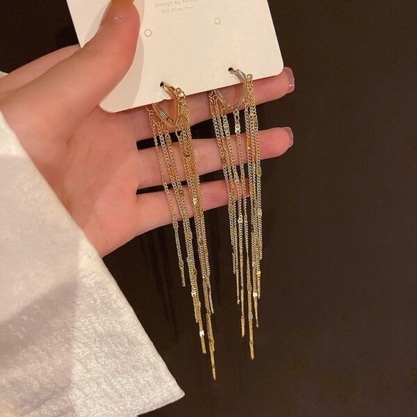Love heart Women's Love Long Fringe Earrings - Image 3