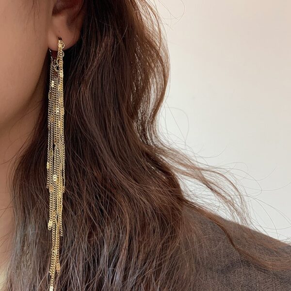 Love heart Women's Love Long Fringe Earrings - Image 5