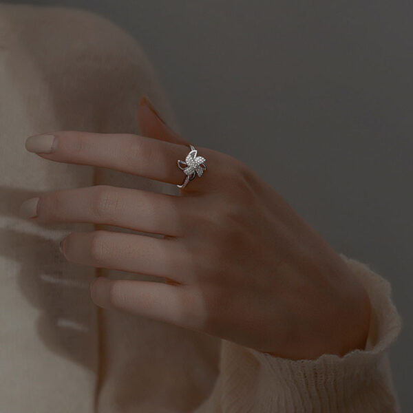 Luxury Cubic Zirconia Windmill Rings Rotating Fashion Jewelry  Creative Finger Spinning Ring - Image 2